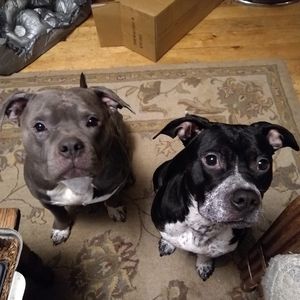 Meet your Posher, Shawn